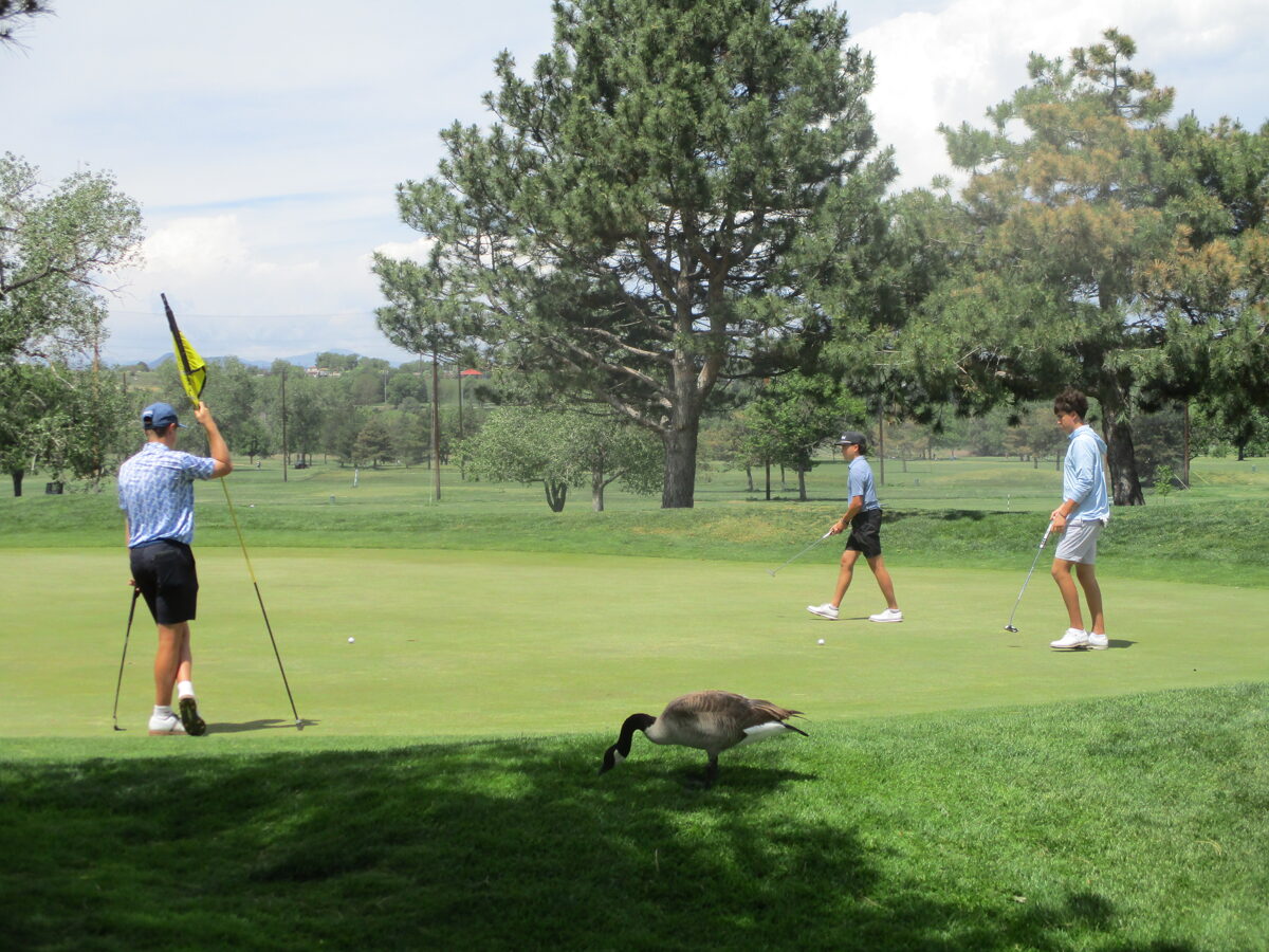 2026_Jr__Golf_Qualifiers.JPG